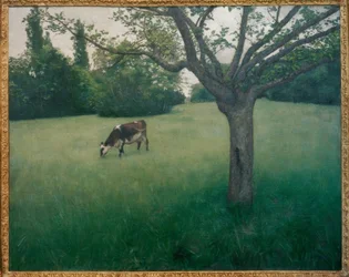Prairie à Yerres