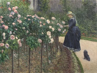 Roses, Jardin à Petit Gennevilliers