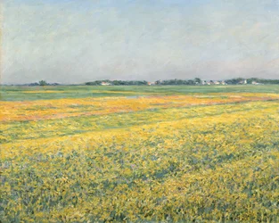 La plaine de Gennevilliers, champs jaunes, 1884