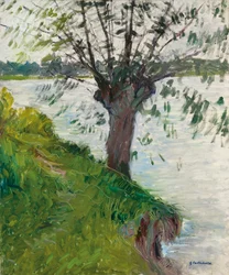 Saule au bord de la rivière, vers 1891