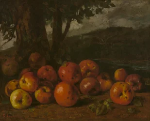 Courbet - Nature morte aux pommes, 1872