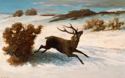 Cerf courant dans la neige.