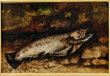 La truite - The trout …