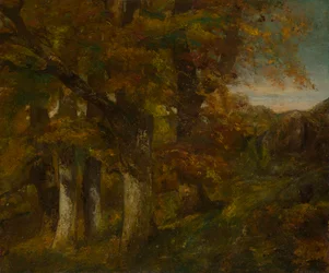 Paysage boisé
