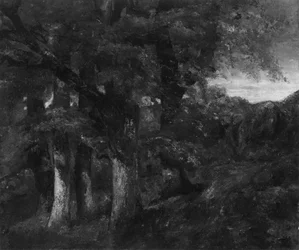 Paysage boisé