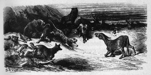 Les animaux malades de la peste. Fables de Jean de La Fontaine (1621-95). Illustration de Gustave Doré