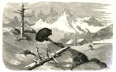 Gravure de Gustave Doré illustrant le livre "Voyage aux Pyrénées" d