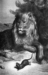 Fable de La Fontaine : Le lion et le rat par Gustave Doré. sd. XIXe siècle