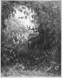 Le cerf et la vigne - des "Fables" de Jean de La Fontaine