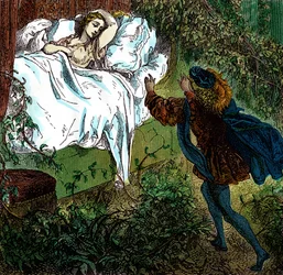 "La Belle au bois dormant" Le prince charmant s
