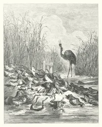 Les Fables de La Fontaine : Les Grenouilles qui demandent un roi