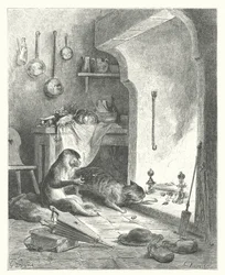 Les Fables de La Fontaine : Le Singe et le Chat