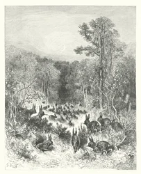 Les Fables de La Fontaine : Les Lapins
