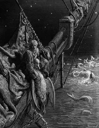 Le marin contemple les serpents dans l