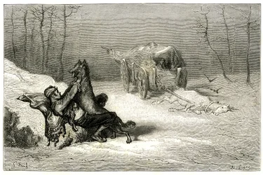 Le brigand Agostin est attaqué par un loup, près du cheval mort encore attaché à la charrette abandonnée par les comédiens, ou cache la petite Chiquita. Gravure de Gustave Doré illustrant le roman de Théophile Gautier « Le capitaine Fracasse », édition Cha