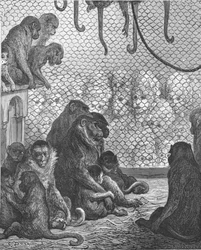 Jardins zoologiques - La Maison des Singes, 1872