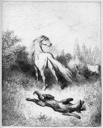 Le cheval et le loup - des "Fables" de Jean de La Fontaine