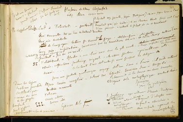 Folio 41 du carnet n. 19 Page manuscrite des brouillons de Gustave Flaubert. Plans pour Bouvard et Pécuchet. BHVP.