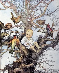 Illustration pour « La storia di Peter Pan », fable de James Matthew Barrie