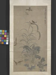 Chou, millet et moineaux