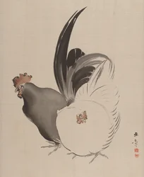 Coq et poule