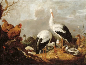 Cigognes, Canards Colvert, Poules, Héron, Grenouille et autres Oiseaux dans un Paysage Fluvial