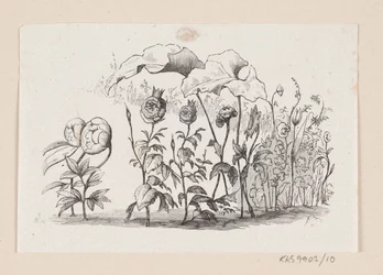 Illustration de "Den lille Idas Blomster" dans H.C. Andersen, "Contes et histoires", Tome 1