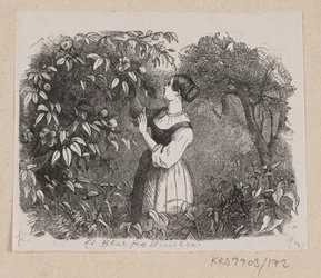Illustration de "Une feuille du ciel" dans H.C. Andersen, "Contes et histoires", Tome 2