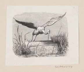 Illustration pour "Les cigognes" dans H.C. Andersen, "Contes et histoires", Tome 1