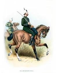 Les Cape Mounted Rifles, c1890