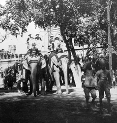 Personnel vice-royal et sa fille participant à la procession des éléphants, Delhi, Inde, années 1900