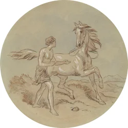 Un des dix-huit dessins pour une série de planches illustrant Vénus et Adonis