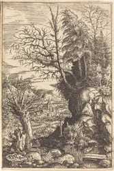 Paysage avec un Saule