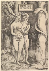 Adam et Ève, 1511