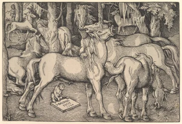 Groupe de sept chevaux