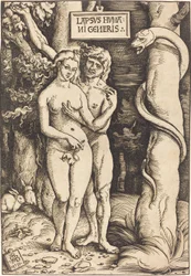 Adam et Ève, 1511