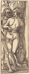 Adam et Ève, 1519