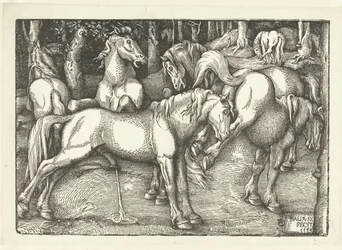 Groupe de six chevaux combattants