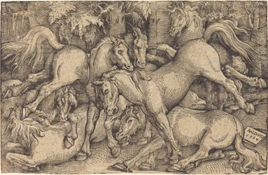 Groupe de sept chevaux dans les bois