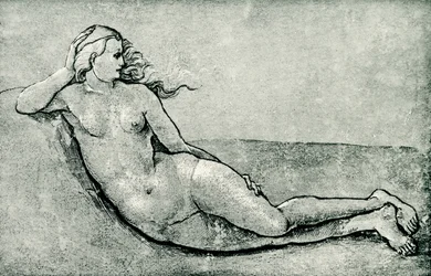 Nymphe allongée