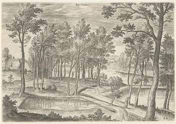 Vue des étangs de Ter Kameren
