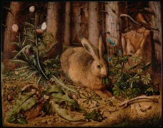 Un lièvre dans la forêt, vers 1585