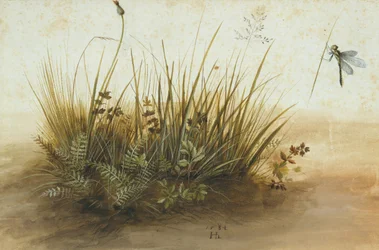 Un petit morceau de gazon, 1584