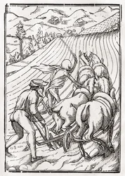 La Mort vient pour le Fermier ou Laboureur, gravée par Georg Scharffenberg, de 