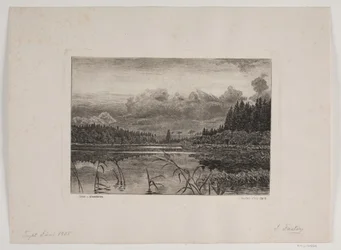 Le Lac dans la Forêt de Sapins