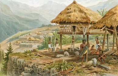 Ferme igorrote à Luçon, Philippines, extraite de «L