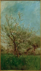 Arbres en fleurs à Uerdenbach