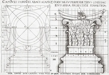 Section transversale du chapiteau corinthien et dessin proportionnel