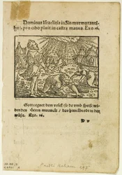 La pluie de manne tirée de Biblische Historien Künstlich fürgemalt, planche cinq de Woodcuts from Books of the XVI Century (gravures sur bois tirées de livres du XVIe siècle)
