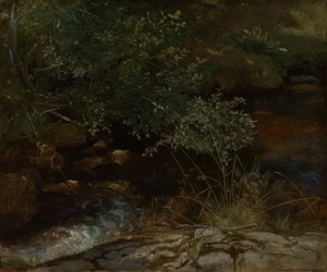 Rive de ruisseau avec buissons et herbes